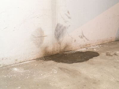 Professional mold remediation services in Bothell